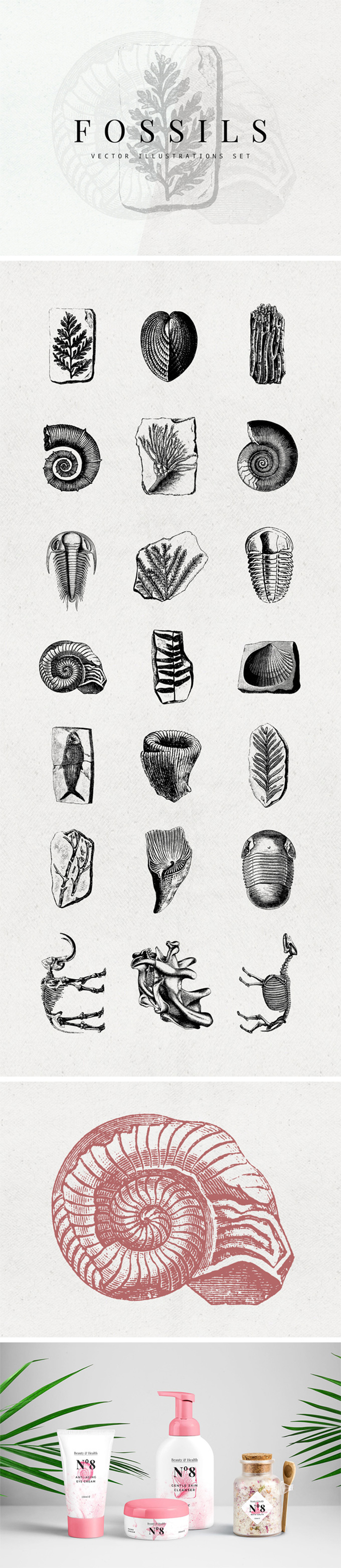 Freebie : Creative 21 Fossils Vectorized Illustrations Set