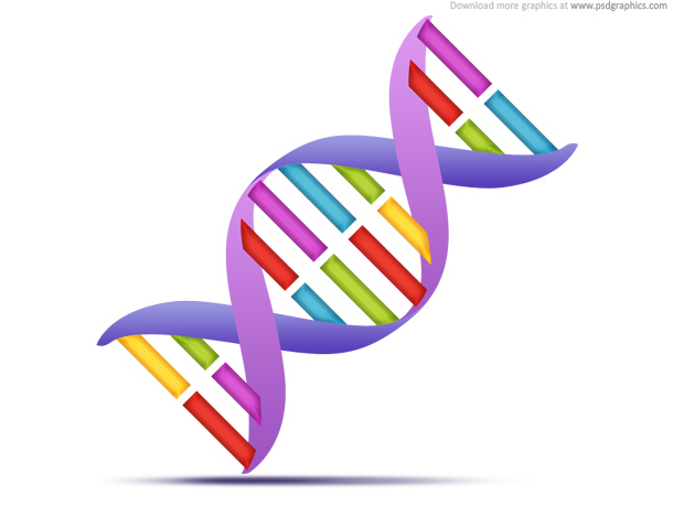 DNA strands, medical icon (PSD) PSD