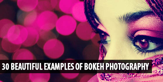 beautiful-bokeh-photography