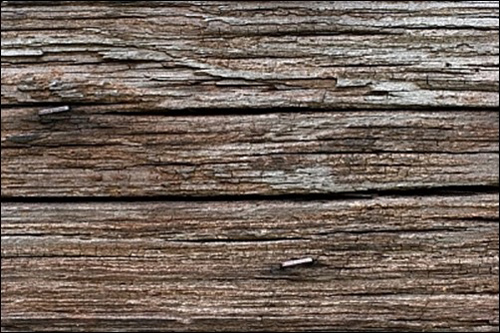 Wood Pattern and Texture Design-11