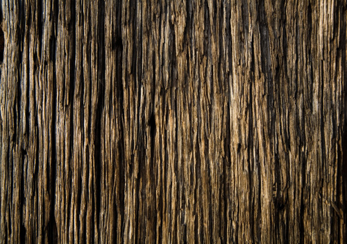 Wood Pattern and Texture Design-20