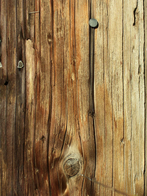 Wood Pattern and Texture Design-29