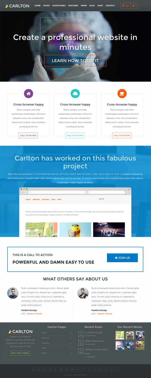 carlton-WordPress-Theme-ScreenShort