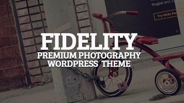 Fidelity WordPress Theme