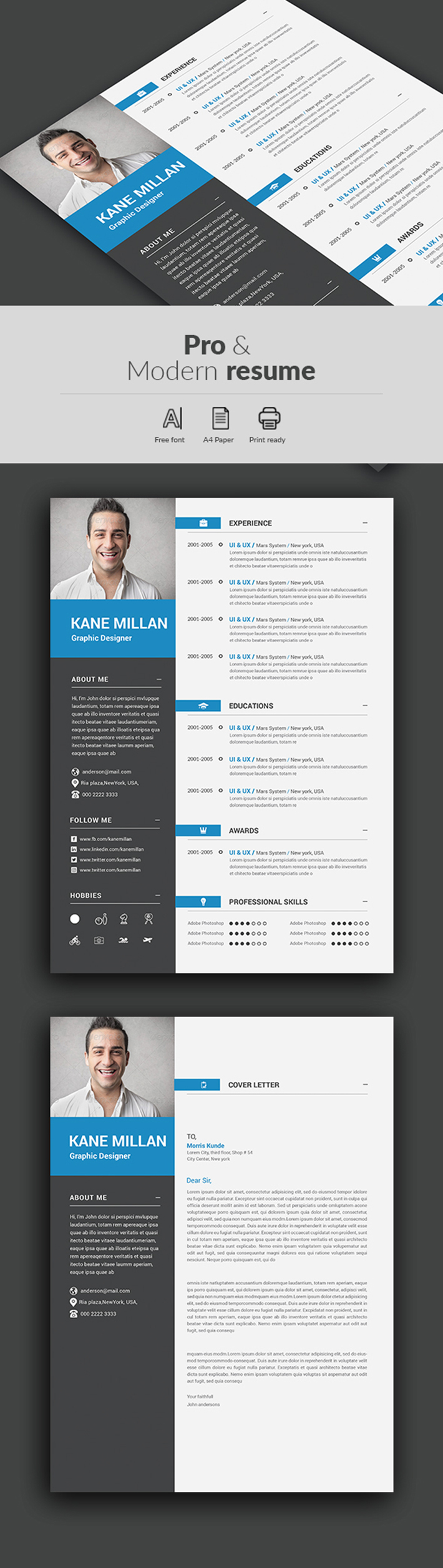Professional Resume (CV) Template in Word and PS