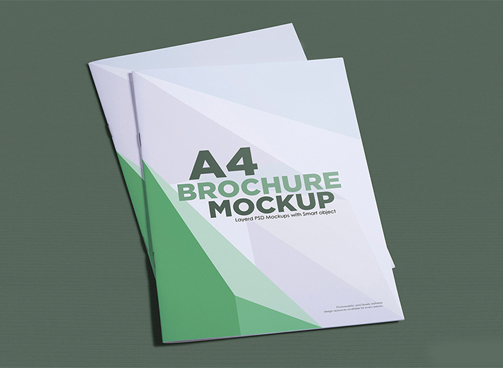 Creative Brochure Mockups