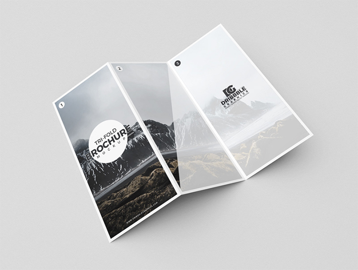Elegant Tri-Fold Brochure Mockup