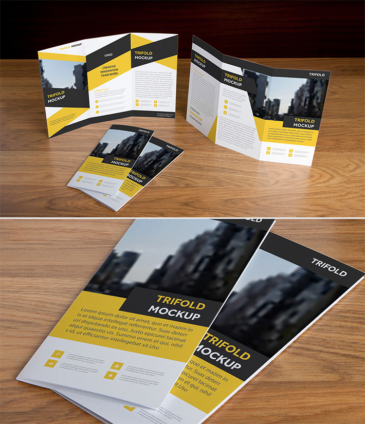 Professional Tri-Fold Brochure Design