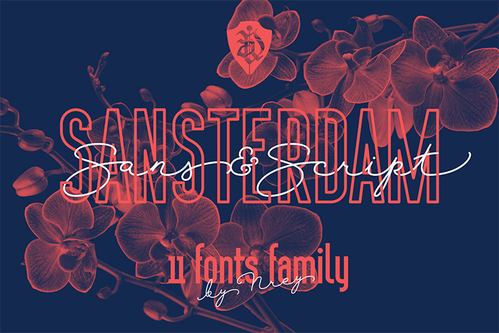 Creative Sansterdam Family Font