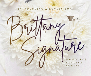 Free Download Creative Signature Style Script Font For Designers